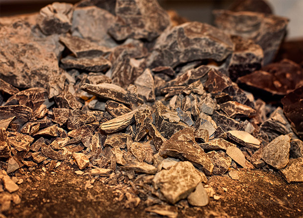 Праздник Шоколада во Львове