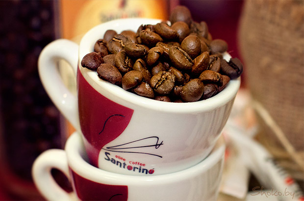 Праздник Шоколада во Львове