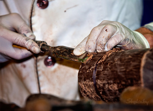 Праздник Шоколада во Львове