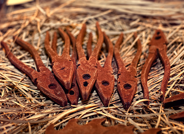Праздник Шоколада во Львове